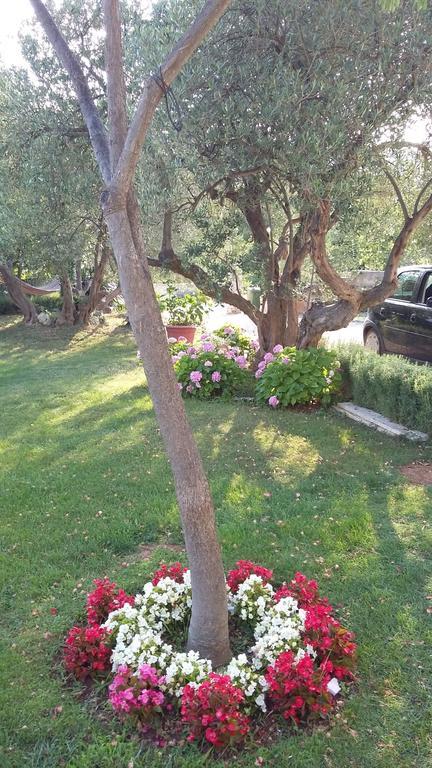 Apartment Oaza Mira Tribalj Cameră foto
